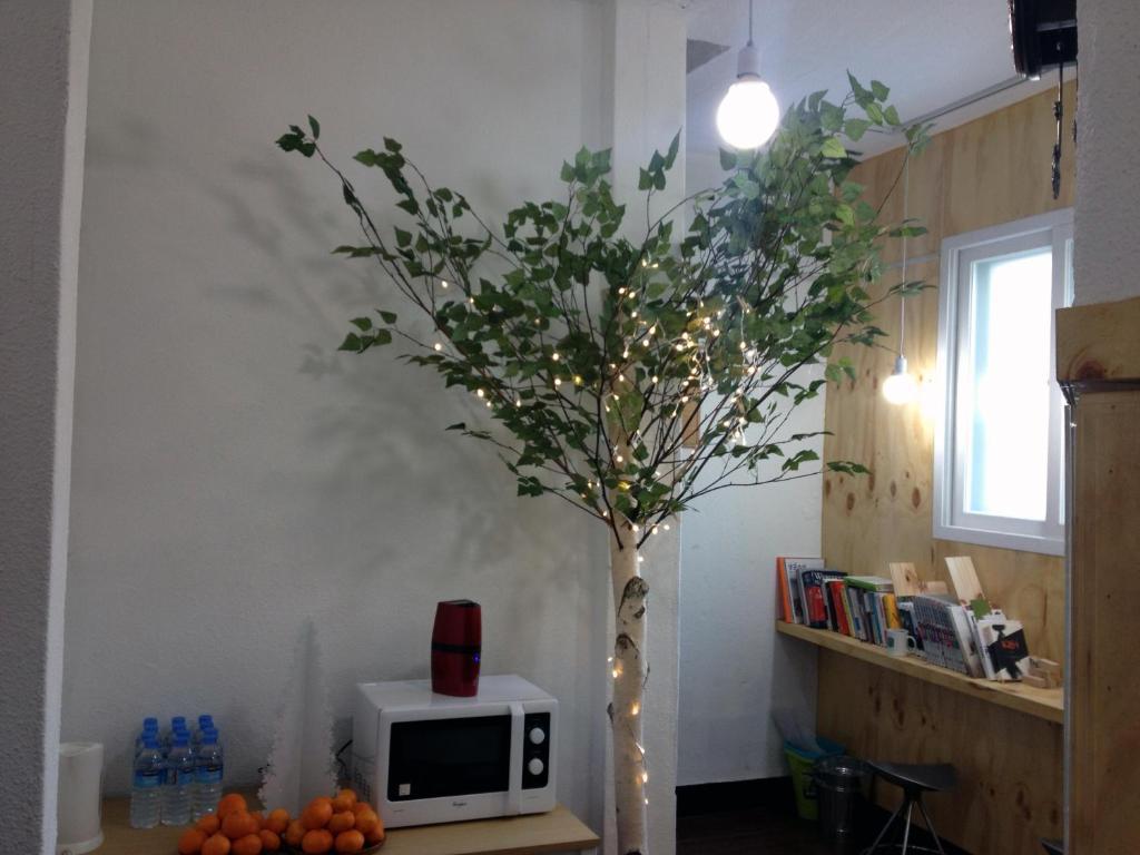 서울특별시 Huga Haus 호스텔 외부 사진
